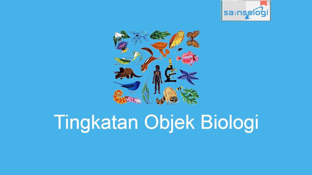 objek biologi