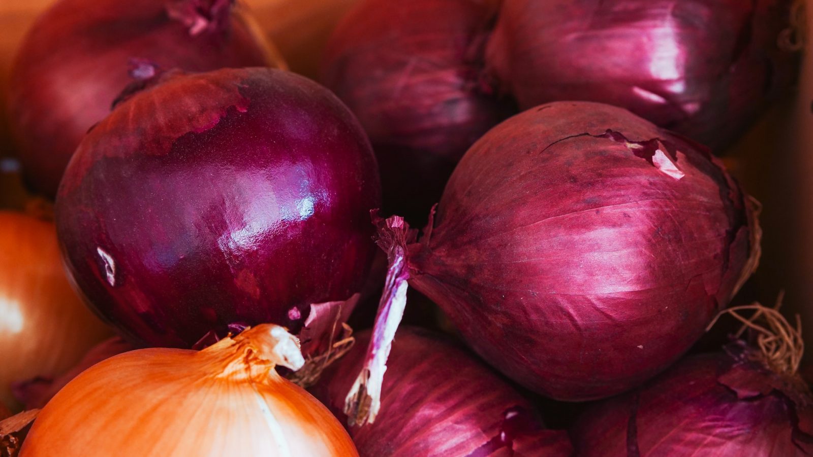 Cara Menanam Bawang Merah Di Rumah Dan Manfaat Untuk Kesehatan Sainsologi