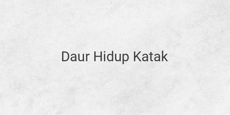 Daur Hidup Katak Mulai dari Telur Sampai Jadi Katak Dewasa