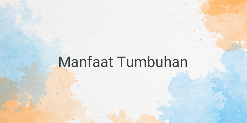 6 Contoh Manfaat Tumbuhan Bagi Manusia