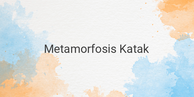 Proses Metamorfosis pada Katak