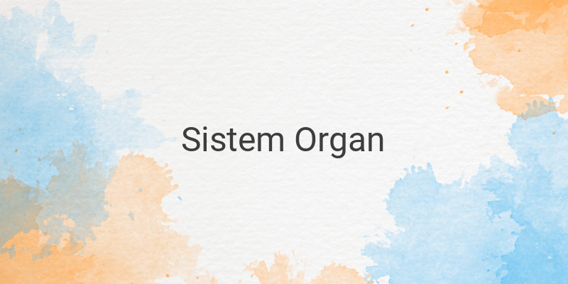 Sistem Organ