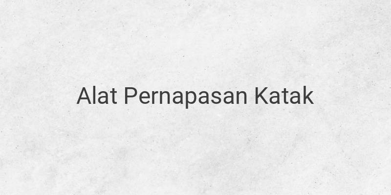 Alat Pernapasan Katak