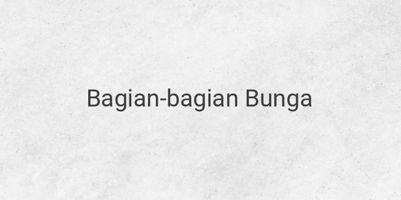 Bagian-Bagian Bunga: Pengertian, Fungsi, dan Struktur