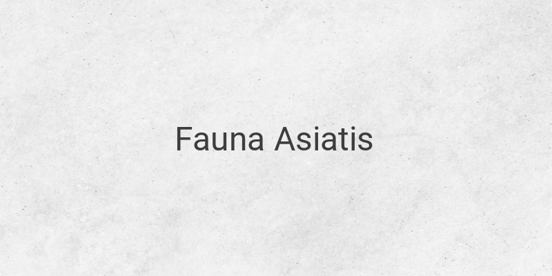 Fauna Asiatis